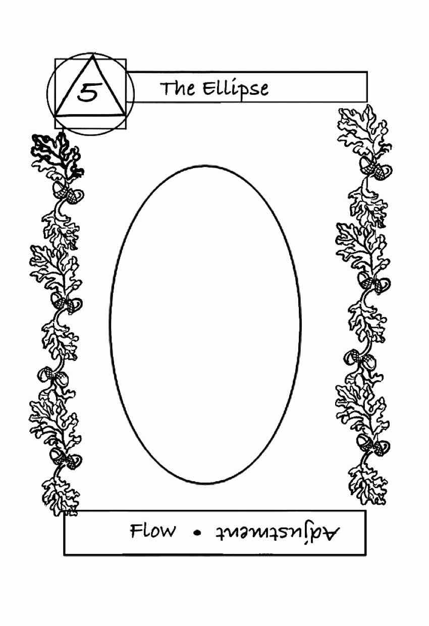 Card 5